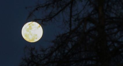 ¿Cuándo será la próxima Luna Llena de julio y desde donde se verá?