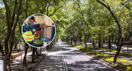 ¡Visita inesperada! Rescatan una víbora que apareció dentro de una casa en CDMX