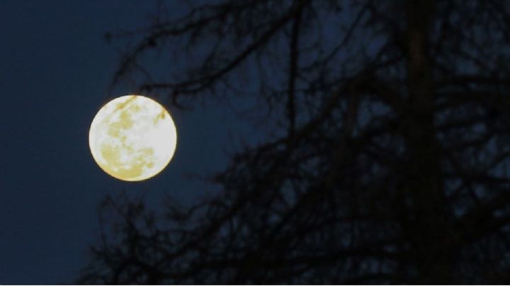¿Cuándo será la próxima Luna Llena de julio y desde donde se verá?