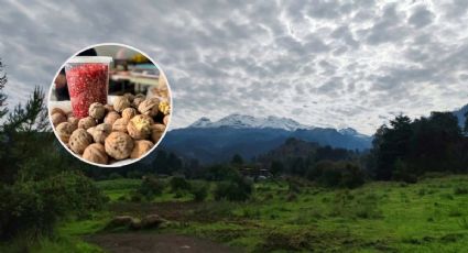 Amecameca, Pueblo con Encanto del Edomex, te espera en la Feria de la Nuez 2026