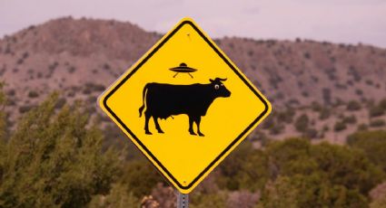 ¡Supera a la IA! Así captaron un "OVNI" viajando por las carreteras de EU