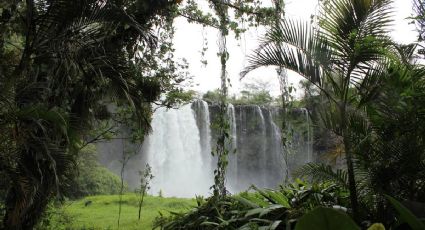 Vacaciones de verano: Los Tuxtlas, la región más enigmática y encantadora para disfrutar tu viaje