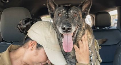 ¡Misión cumplida! Así despidieron a un perrito policía tras 9 años de servicio en Durango