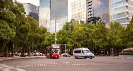 Hoy NO circula 20 de julio 2026: ¿Qué autos descansan en CDMX y Edomex?