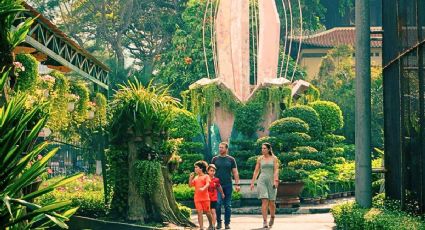 Los destinos naturales de la CDMX para disfrutar el verano si no sales en vacaciones
