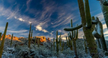 El pueblito de Puebla con un bosque de cactus para acampar entre paisajes únicos
