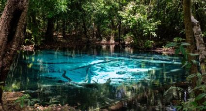 El borbollón de aguas de manantial para disfrutar en Morelos por $150