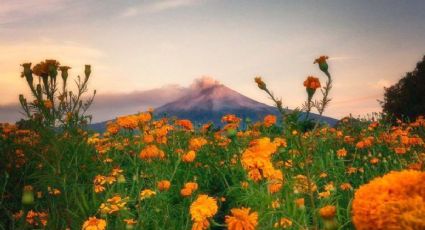 Reporte del clima y pronóstico para Atlixco este miércoles 22 de julio
