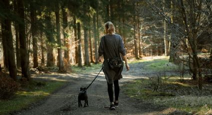 Pueblos Mágicos pet friendly para viajar con tu perrito en verano