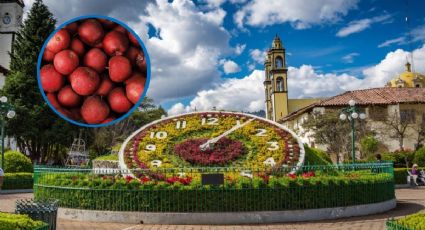 Zacatlán se prepara para la Feria de la Manzana 2026: cuándo y qué artistas se presentarán