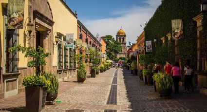 Día del Tequila: El Pueblo Mágico para disfrutar recorridos en tren y campos de agave