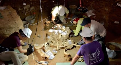 ¡Un viaje 200 mil años al pasado! Hallan dos esqueletos de rinoceronte en una cueva de Barcelona