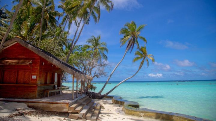 Verano diferente: las cabañas frente al mar de Michoacán para disfrutar desde 1,000 pesos