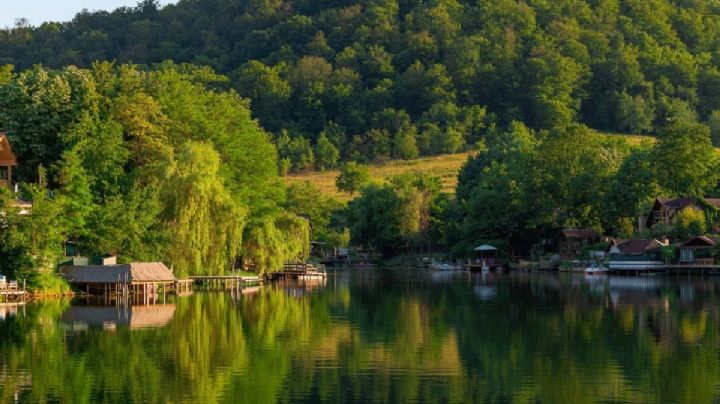 ¿Cómo llegar al bioparque de Hidalgo con aguas termales y zoológico por 150 pesos?