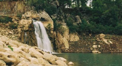 Cómo llegar en autobús al pueblito de la Sierra Baja de Hidalgo con cascadas y ricos tamales de xala
