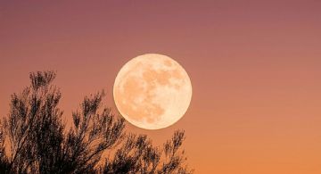 Luna de Ciervo en México: hora exacta y mejores lugares para disfrutar este espectáculo en el cielo