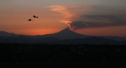 Popocatépetl: ¿Cuáles son las recomendaciones ante caída de ceniza y qué alcaldías podría afectar?