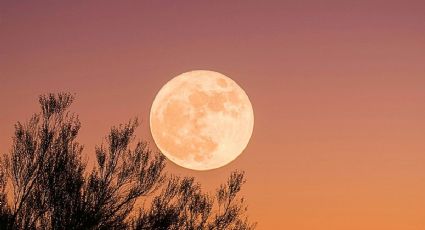 Luna de Ciervo en México: hora exacta y mejores lugares para disfrutar este espectáculo en el cielo