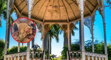 ¿Cuál es el pueblito más cerca de Hidalgo para comer barbacoa y divertirte en agosto 2026?