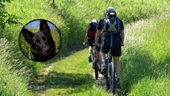 ¡Corrió más de 40 kilómetros y encontró hogar! La historia del perrito que acompañó a unos ciclistas
