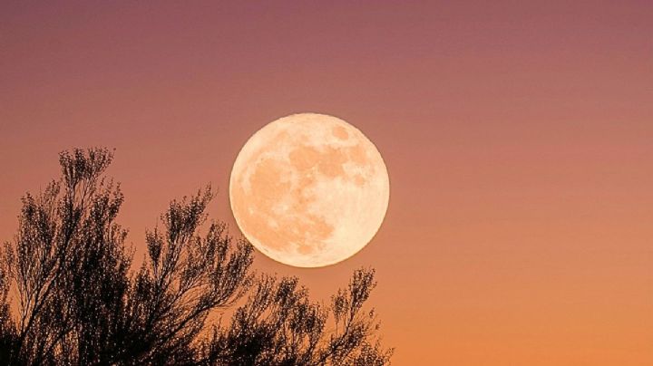 Luna de Ciervo en México: hora exacta y mejores lugares para disfrutar este espectáculo en el cielo