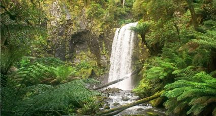¿Cómo llegar al pueblito con una cascada que ‘nació’ de un amor prohibido desde la CDMX?