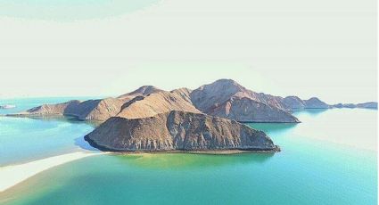 La bahía poco conocida que abre un camino en el mar y es perfecta para avistar tiburón ballena