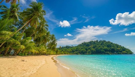 La playa entre paisajes verdes y arena dorada para vacaciones tranquilas en Veracruz