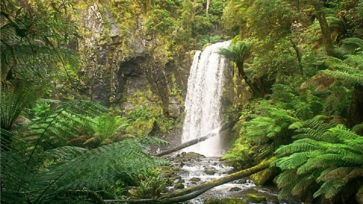¿Cómo llegar al pueblito con una cascada que ‘nació’ de un amor prohibido desde la CDMX?