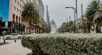 Hoy NO circula 31 de julio 2026: ¿Qué autos descansan en CDMX y Edomex?