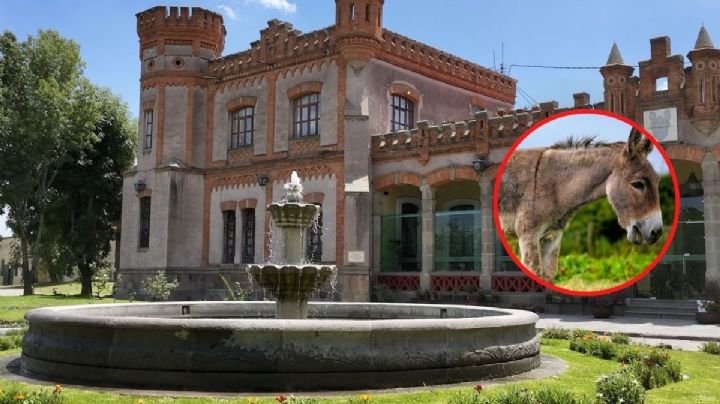 Huamantla se prepara para la tradicional Carrera de Burros 2026: cuándo y dónde