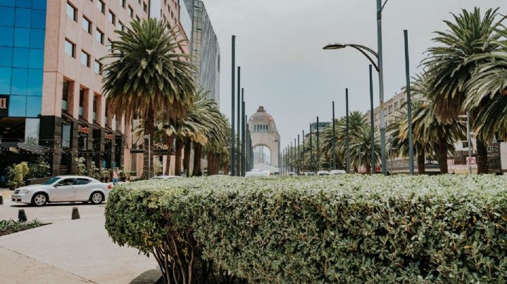 Hoy NO circula 31 de julio 2026: ¿Qué autos descansan en CDMX y Edomex?