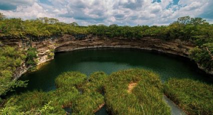 ¡Guardianes de la naturaleza! Así puedes ser voluntario para la protección de cenotes