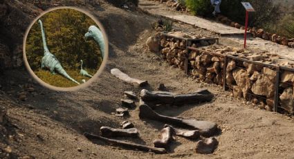 Los tres pueblitos preferidos por los niños para explorar y mirar fósiles de dinosaurios