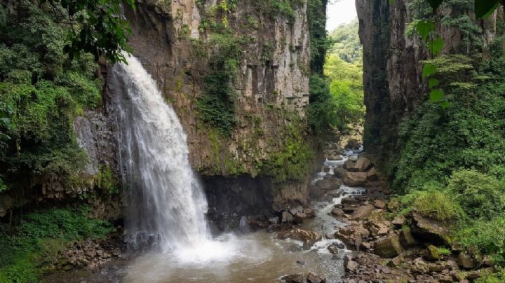 El pueblito de Veracruz para probar los frijoles con xonequi entre paisajes silvestres
