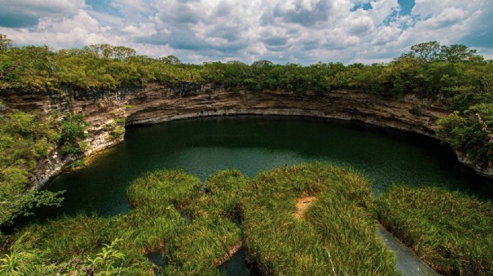 ¡Guardianes de la naturaleza! Así puedes ser voluntario para la protección de cenotes