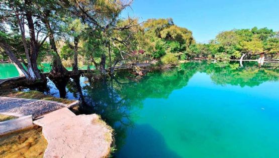 Las pozas cristalinas de aguas turquesa para disfrutar un chapiuzón en tu viaje por Chiapas