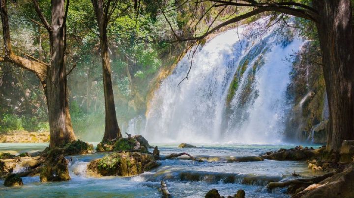 El pueblito de Chiapas en el que descubrirás tradiciones indígenas y espacios naturales