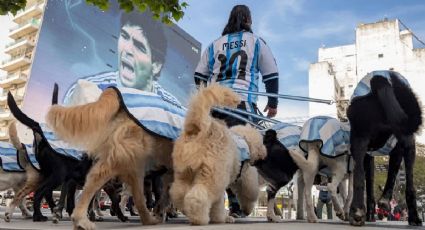 ¡Puro amor por el futbol! Perritos con la camiseta de Argentina se vuelven virales con su paseo