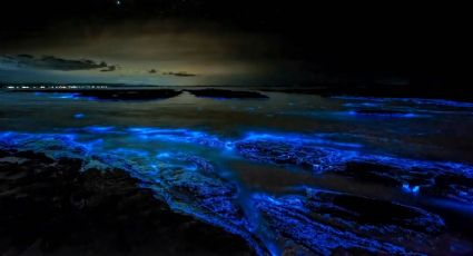 ¡Un espectáculo de otro mundo! La laguna de Oaxaca donde el agua brilla al caer la noche