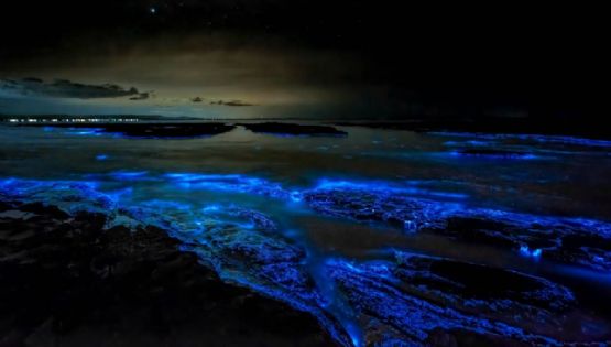 ¡Un espectáculo de otro mundo! La laguna de Oaxaca donde el agua brilla al caer la noche