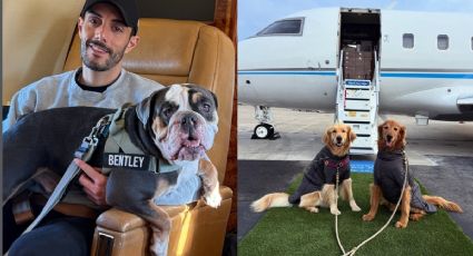 La aerolínea exclusiva para perros donde los humanos son acompañantes: ¿a qué destinos vuela?