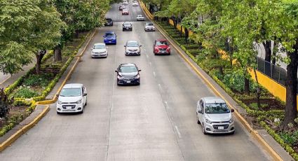 Hoy NO circula 11 de agosto 2026: ¿Qué autos descansan en CDMX y Edomex?