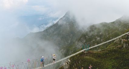 El pueblito de Oaxaca para un viaje entre hongos, puentes colgantes y neblina