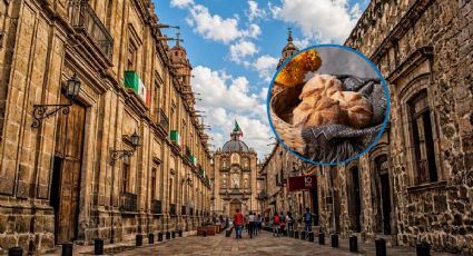 Festival del Pan de Muerto llega a la CDMX para deleitar a los viajeros: cuándo y dónde