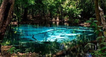 El balneario de manantiales naturales en Morelos con entrada para niños por 140 pesos para ir el finde