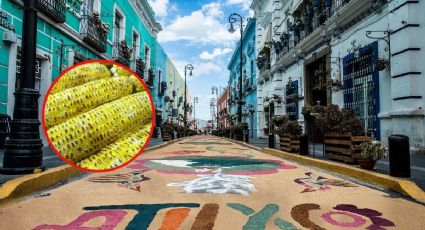 El pueblito de Puebla que celebrará la Elotada 2026 con sabores exóticos: cuándo y dónde