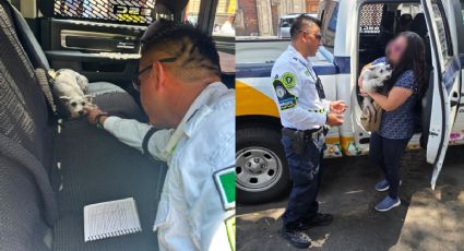¡Rescate heroico! Así salvaron la vida de un perrito en las calles del Centro Histórico de CDMX