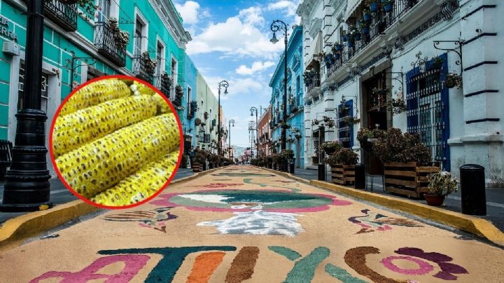 El pueblito de Puebla que celebrará la Elotada 2026 con sabores exóticos: cuándo y dónde