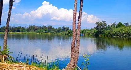 El parque natural de CDMX con lagos y ajolotes que debes conocer este verano